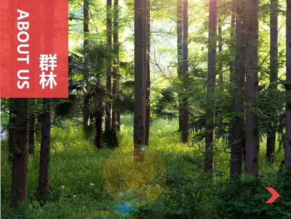 什么叫刨花板？